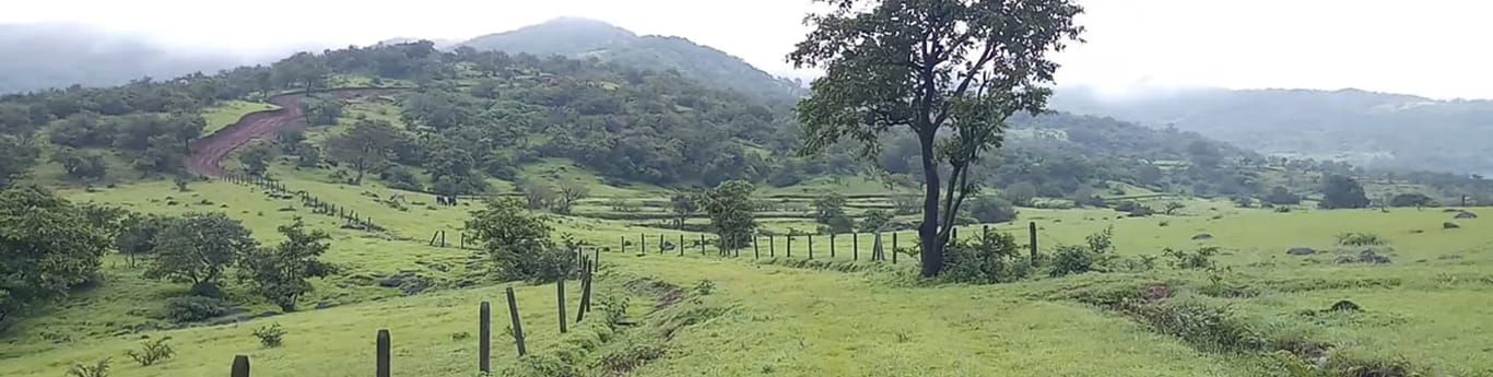 Samrajya Spring Medows Plots for sale Bhor , Plot for sale in Bhor 